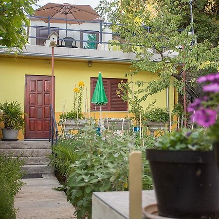 Apartment Pipo Рієка Екстер'єр фото